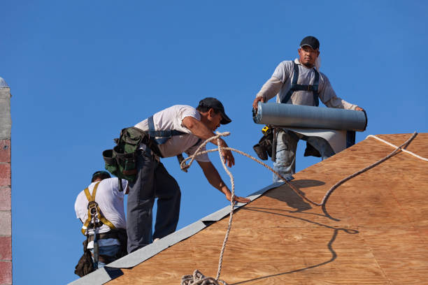 Best Roof Maintenance Services  in Belvedere, CA